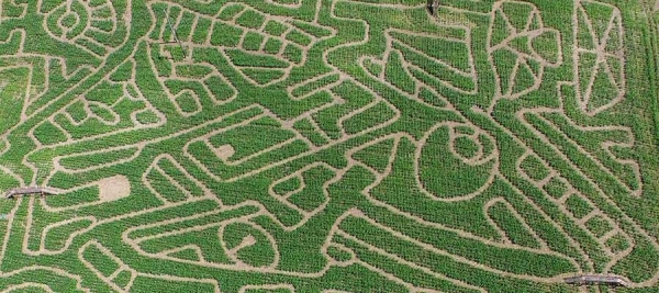 A-Maize-Maze-ing Day Out