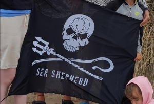Sea Shepherd UK Beach Clean